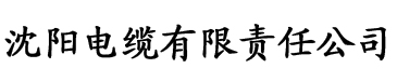 免费AV亚洲国产在线电缆厂logo